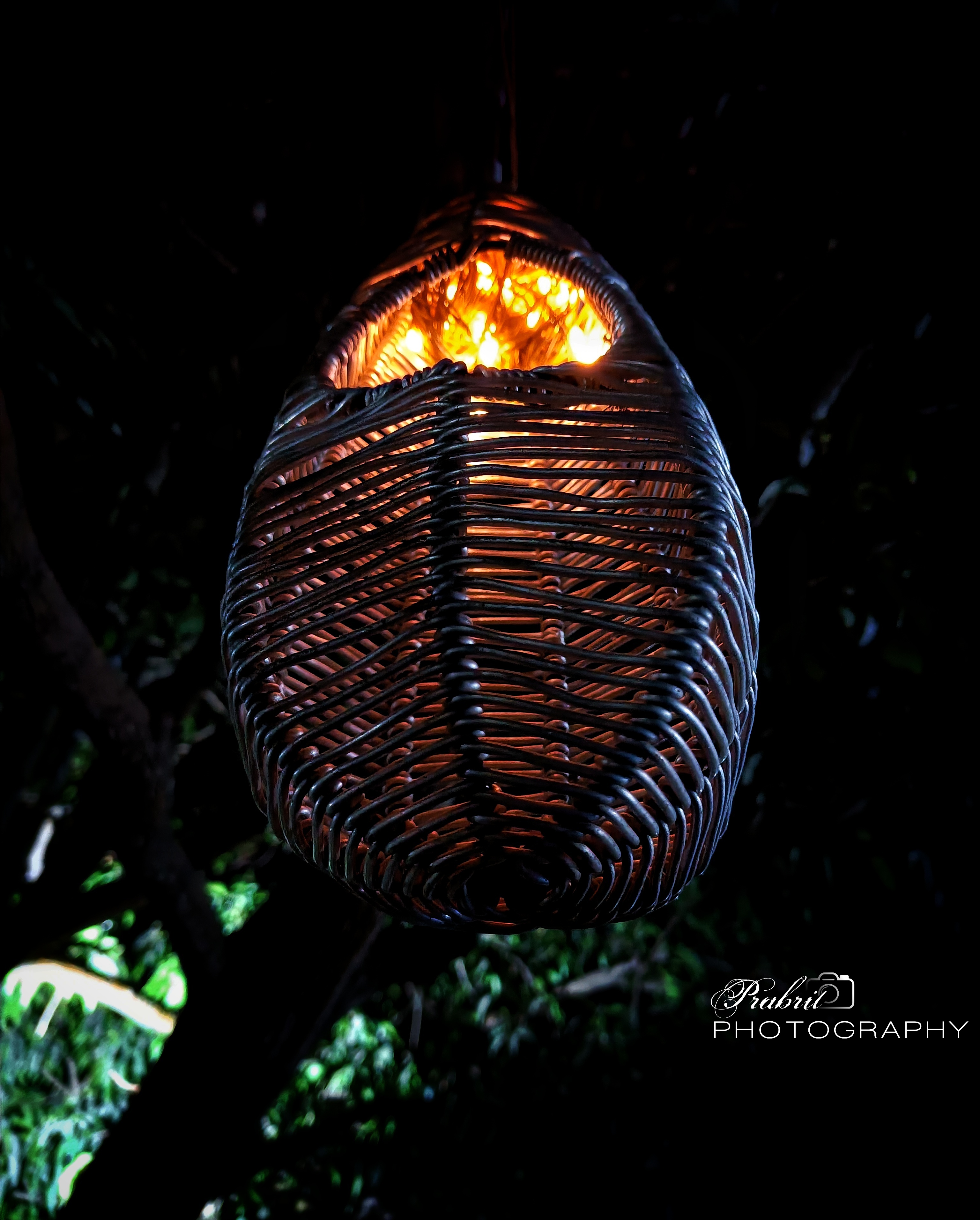 myphotography