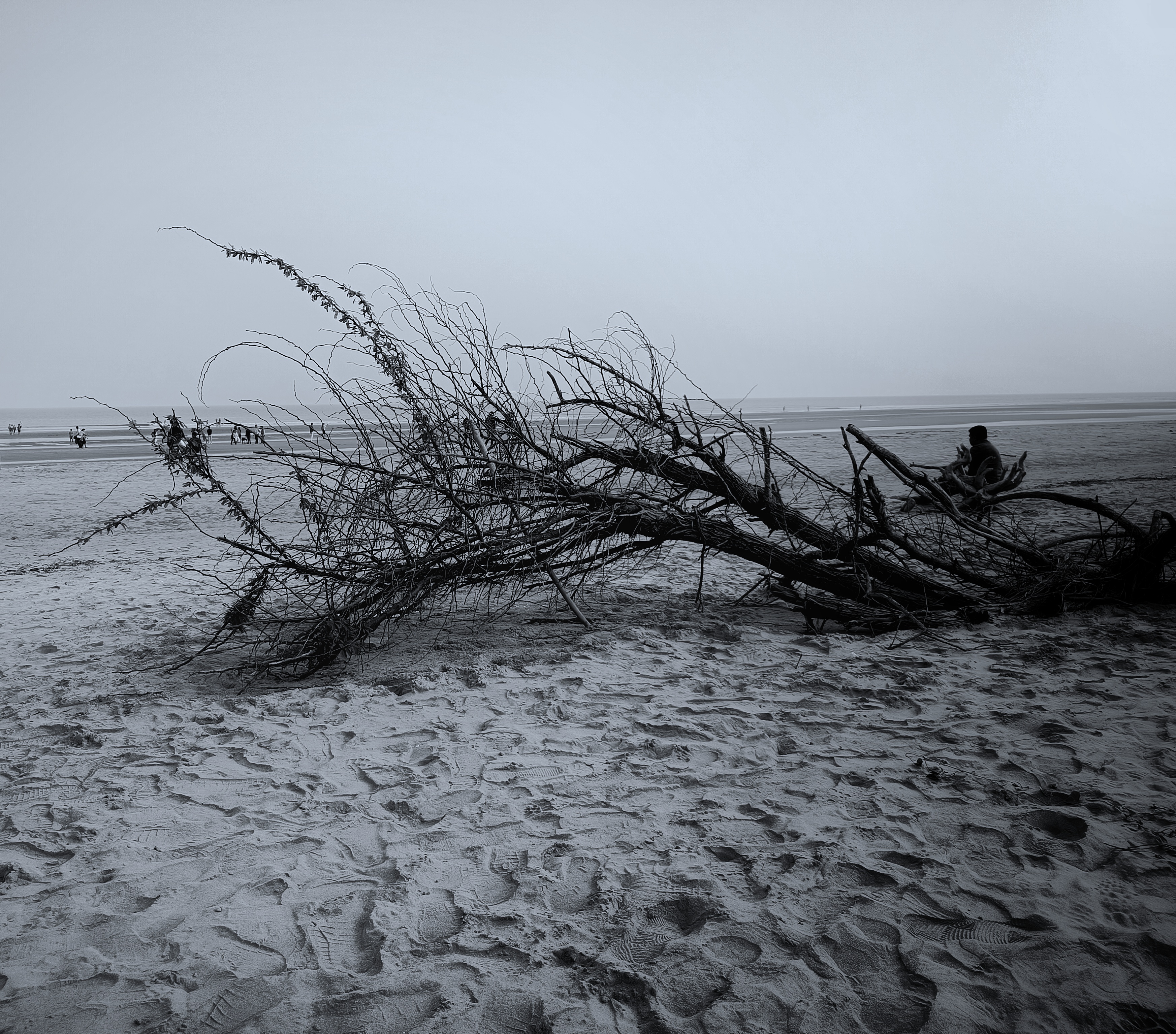 myphotography