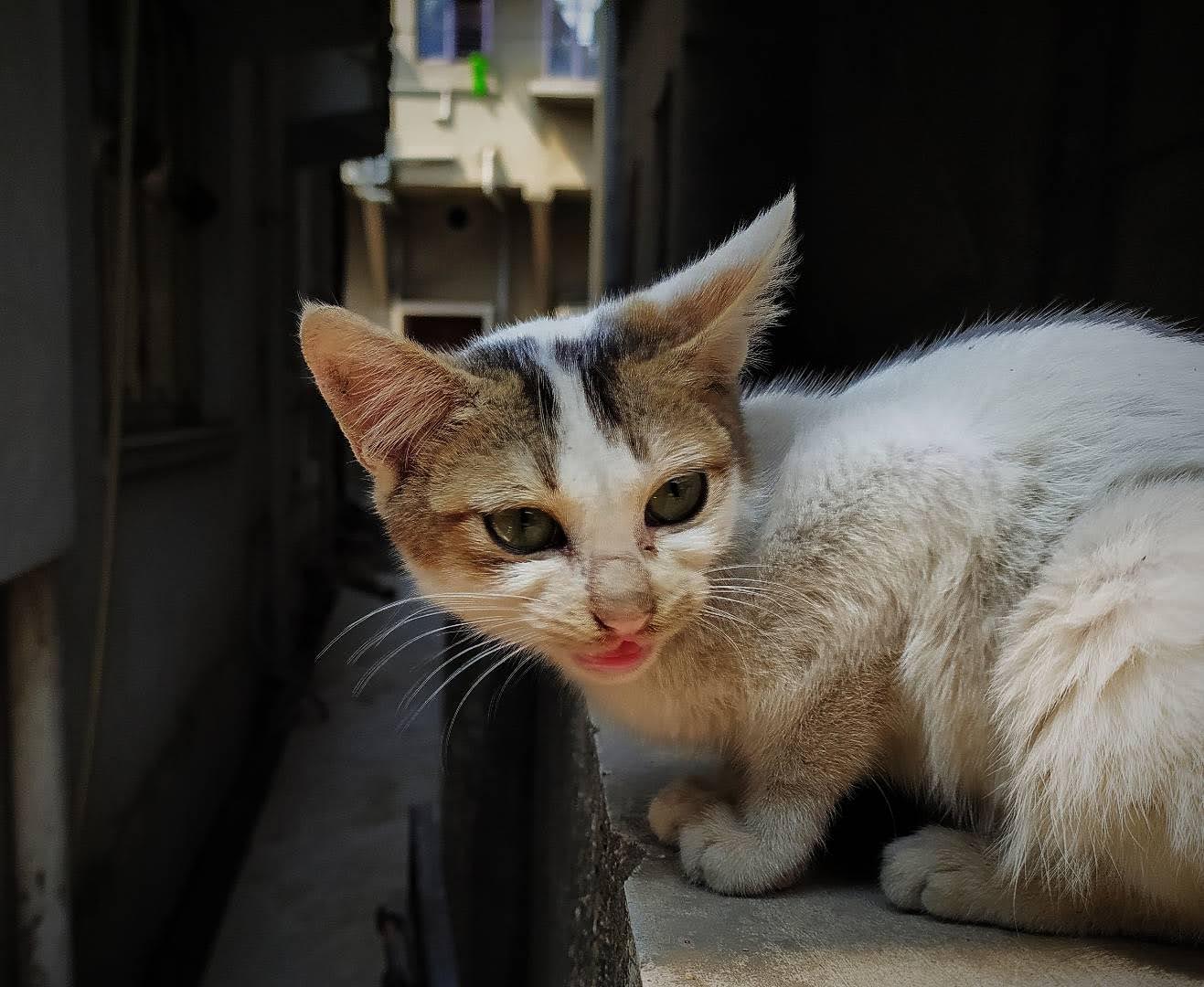 myphotography