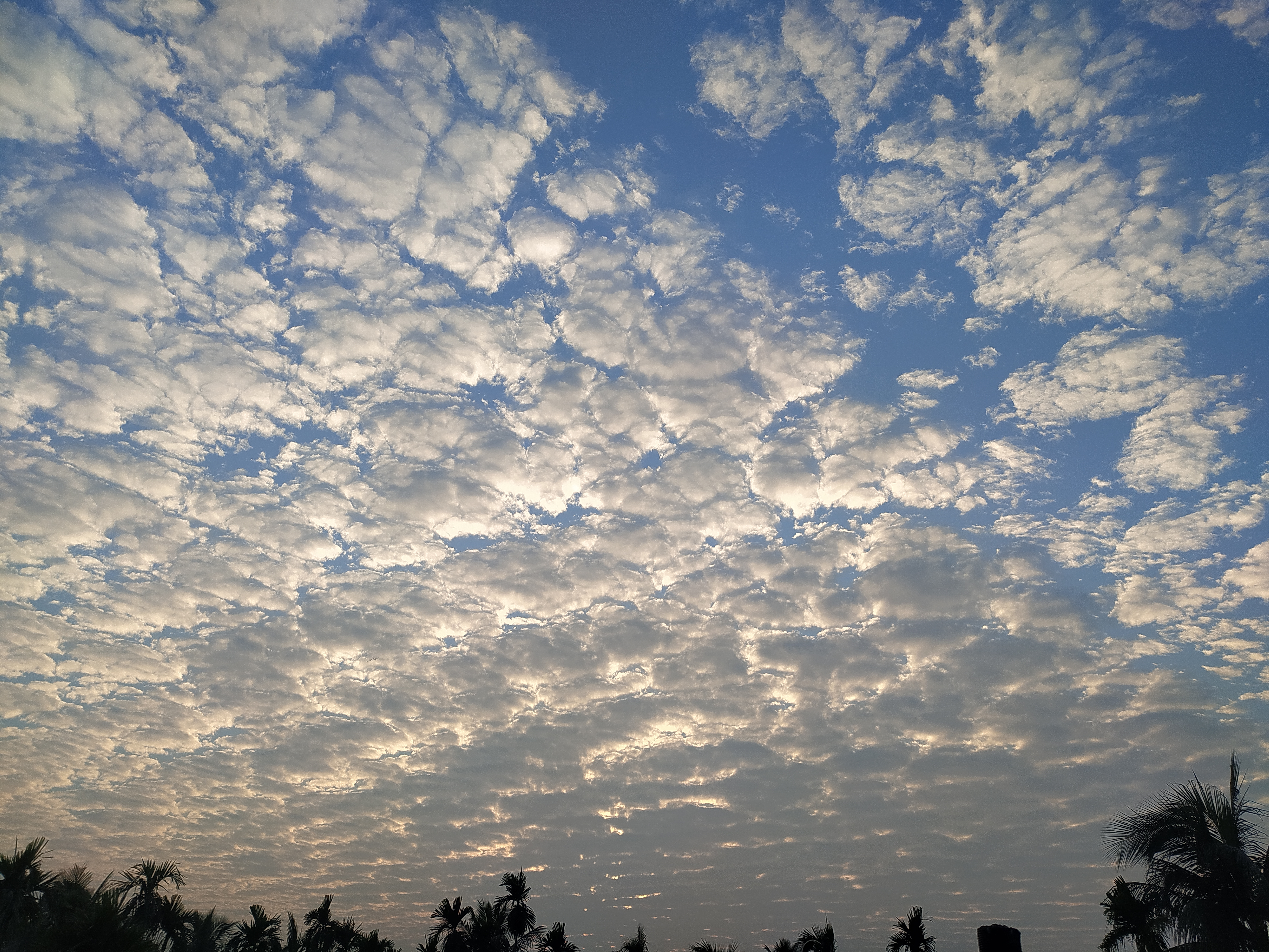 myphotography