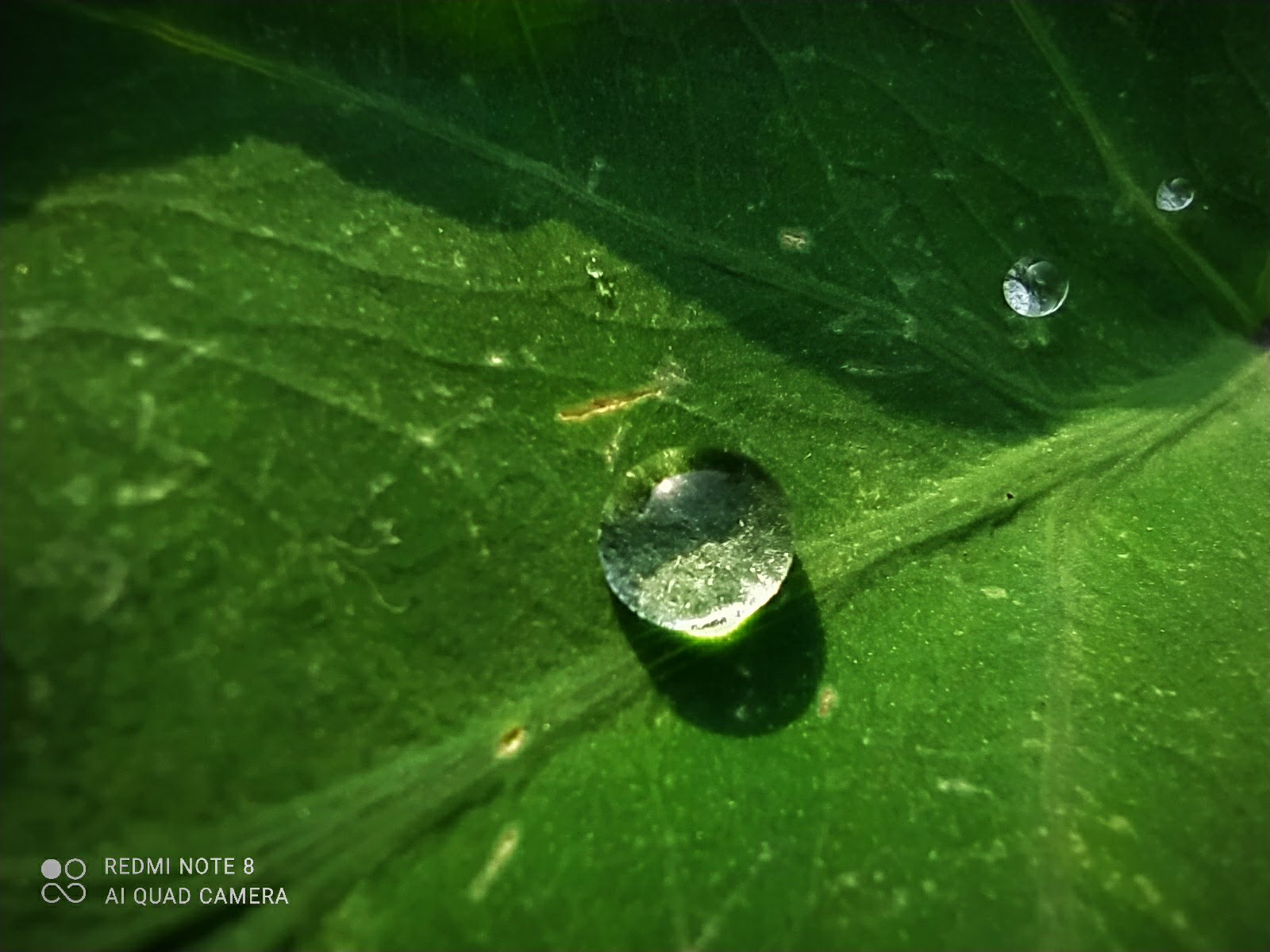 myphotography