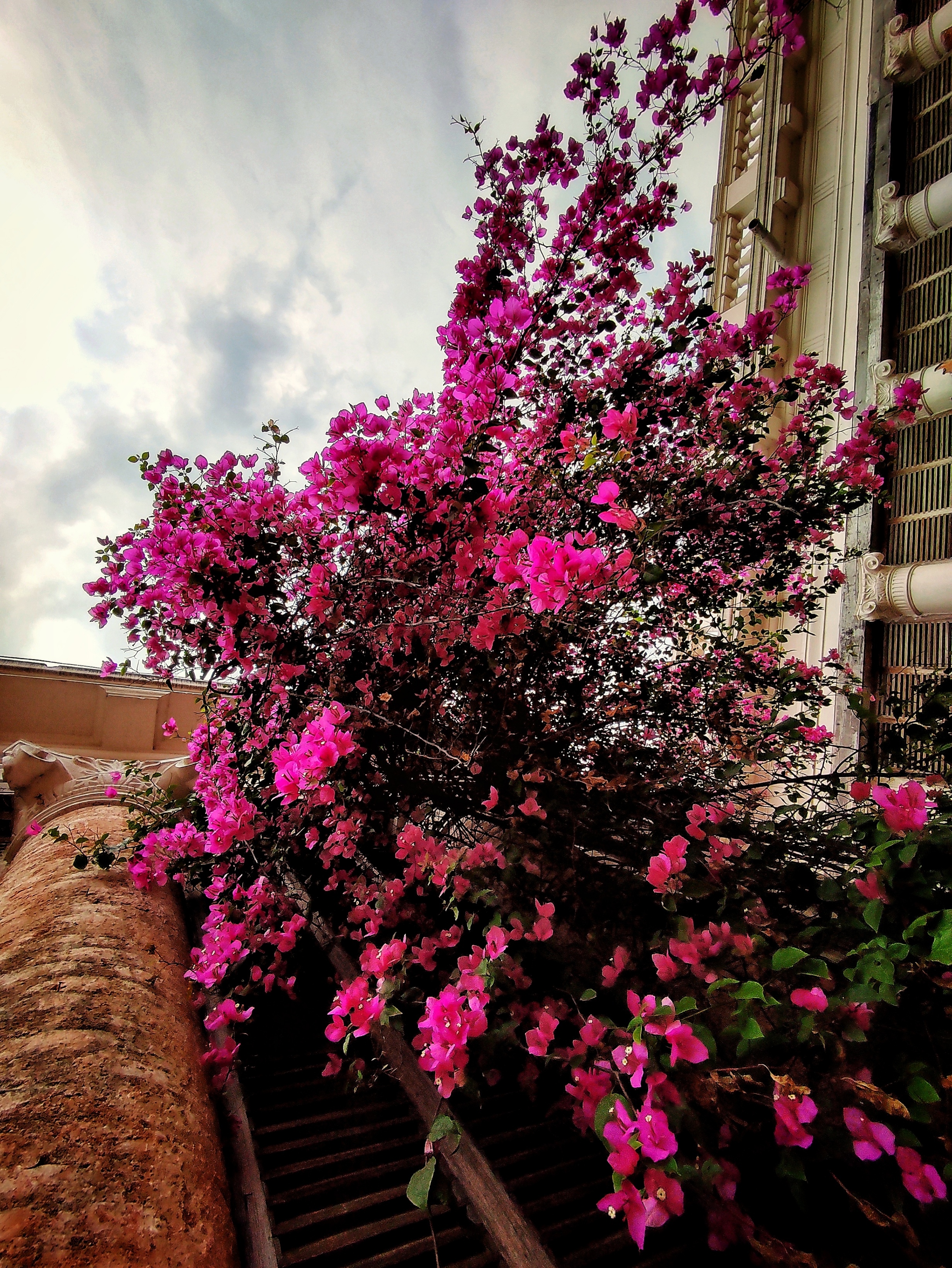 myphotography